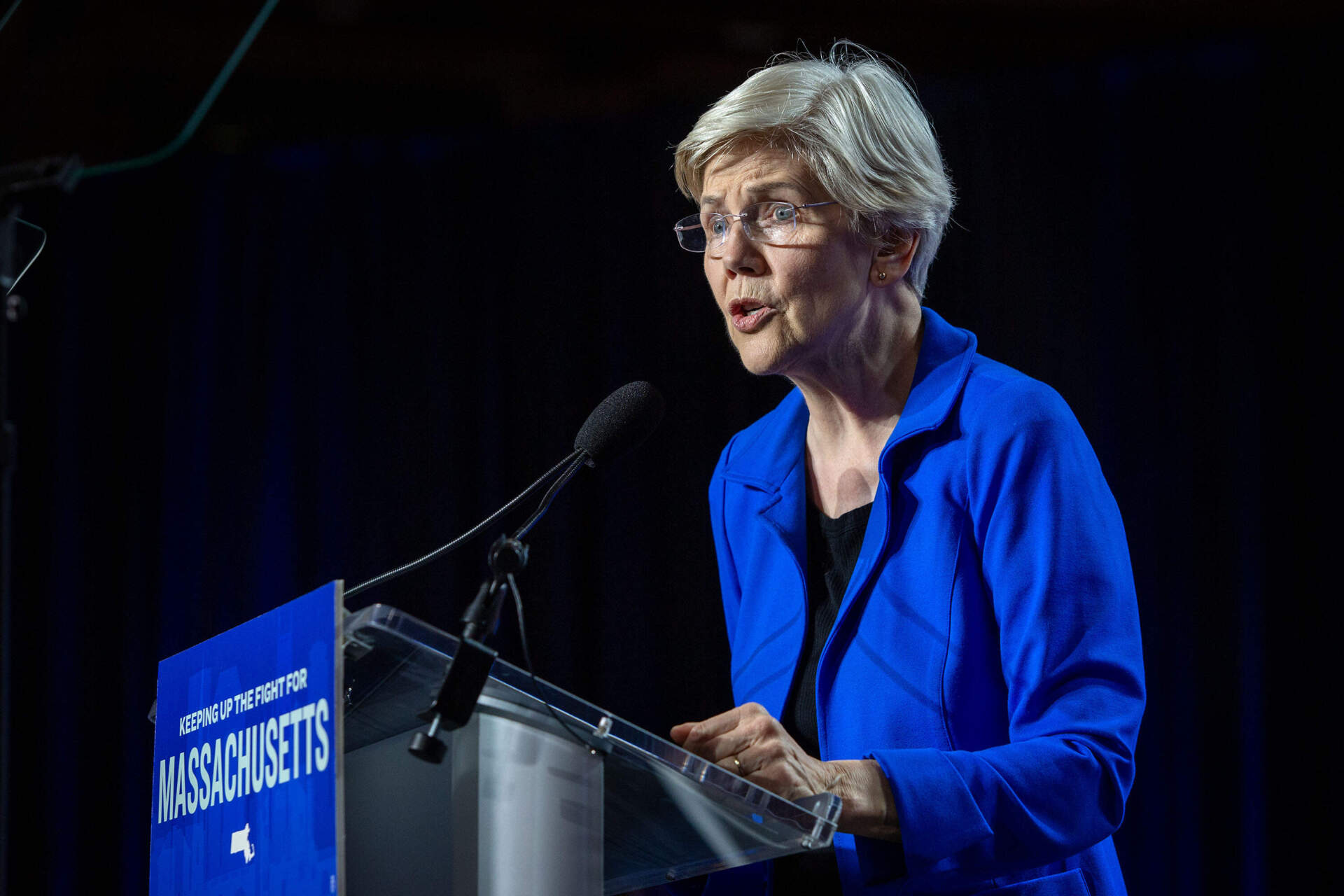 Elizabeth Warren speaks at the Democratic Party's election night watch party in Boston. (Robin Lubbock/WBUR)