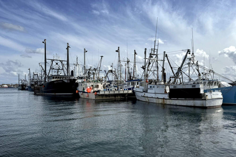 Fishing boats tied up in New Bedford harbor. (Walter Wuthmann/WBUR)