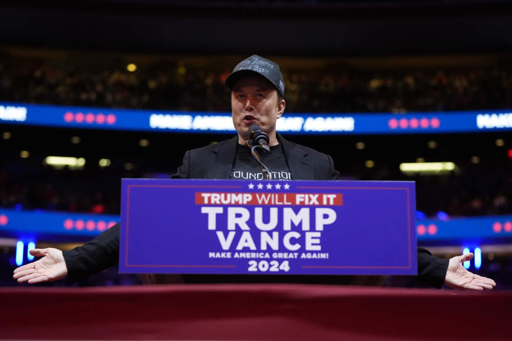 Elon Musk speaks before former President Donald Trump at a campaign rally at Madison Square Garden, Sunday, Oct. 27, 2024, in New York. (Alex Brandon/AP)