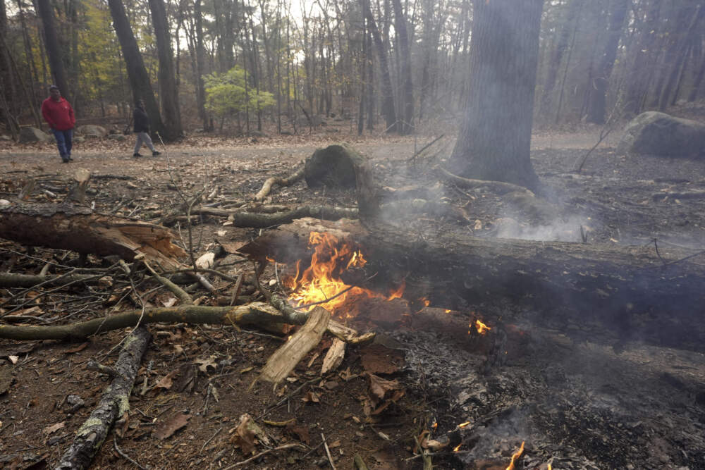 People walk along a path near flames on the forest floor, in Lynn Woods Reservation, Sunday, Nov. 10, 2024, in Lynn, Mass. (Steven Senne/AP)