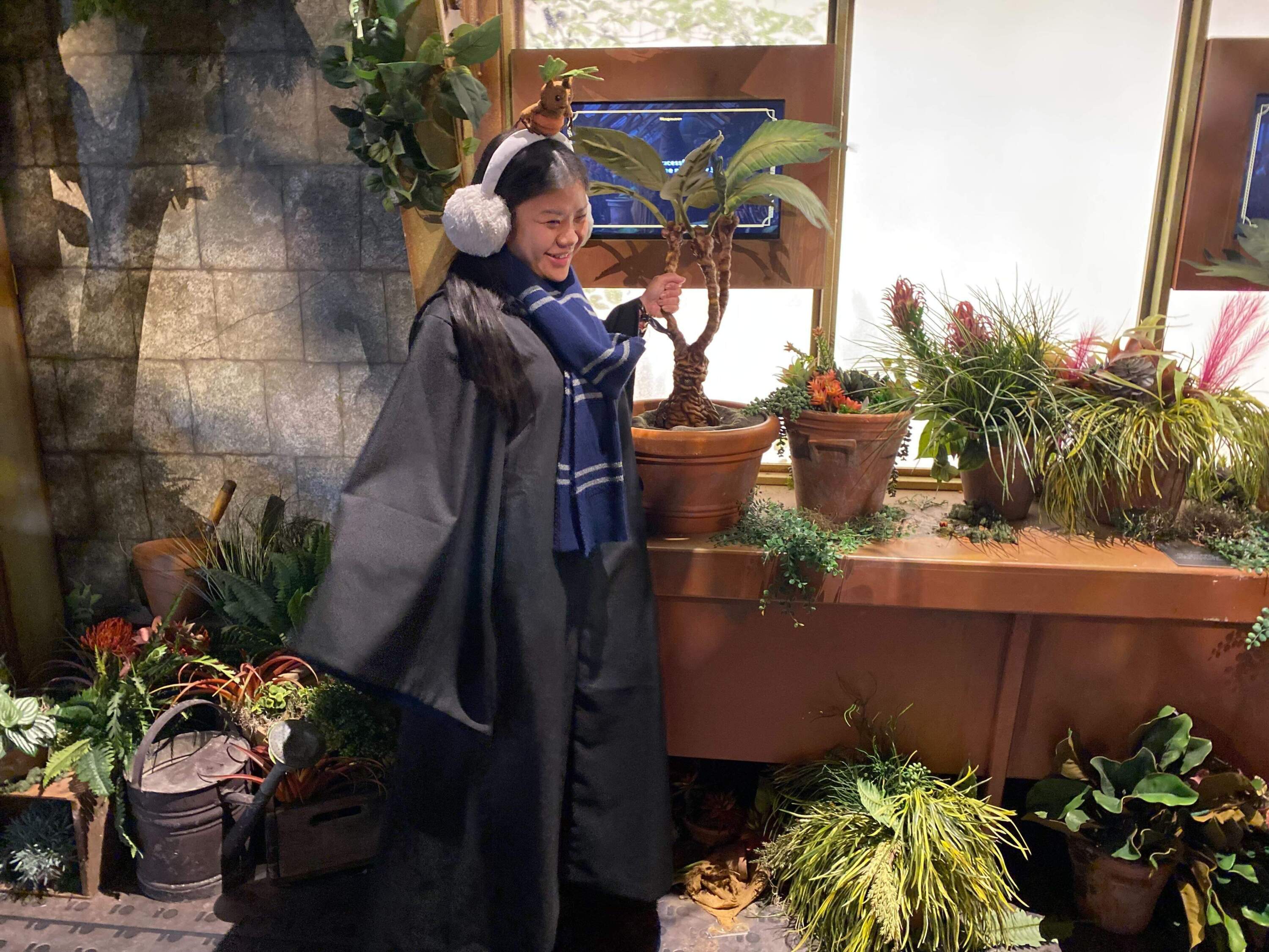 Amy O pulling a mandrake out of its pot. (Andrea Shea/WBUR)