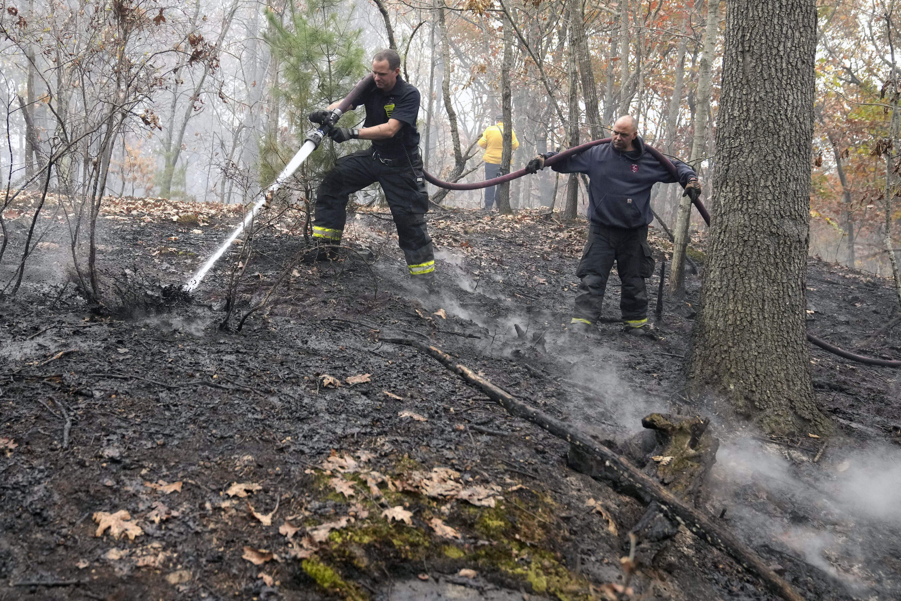 Firefighters work to put out a brush fire, Tuesday, Oct. 29, 2024, in Salem, Mass. (Steven Senne/AP)