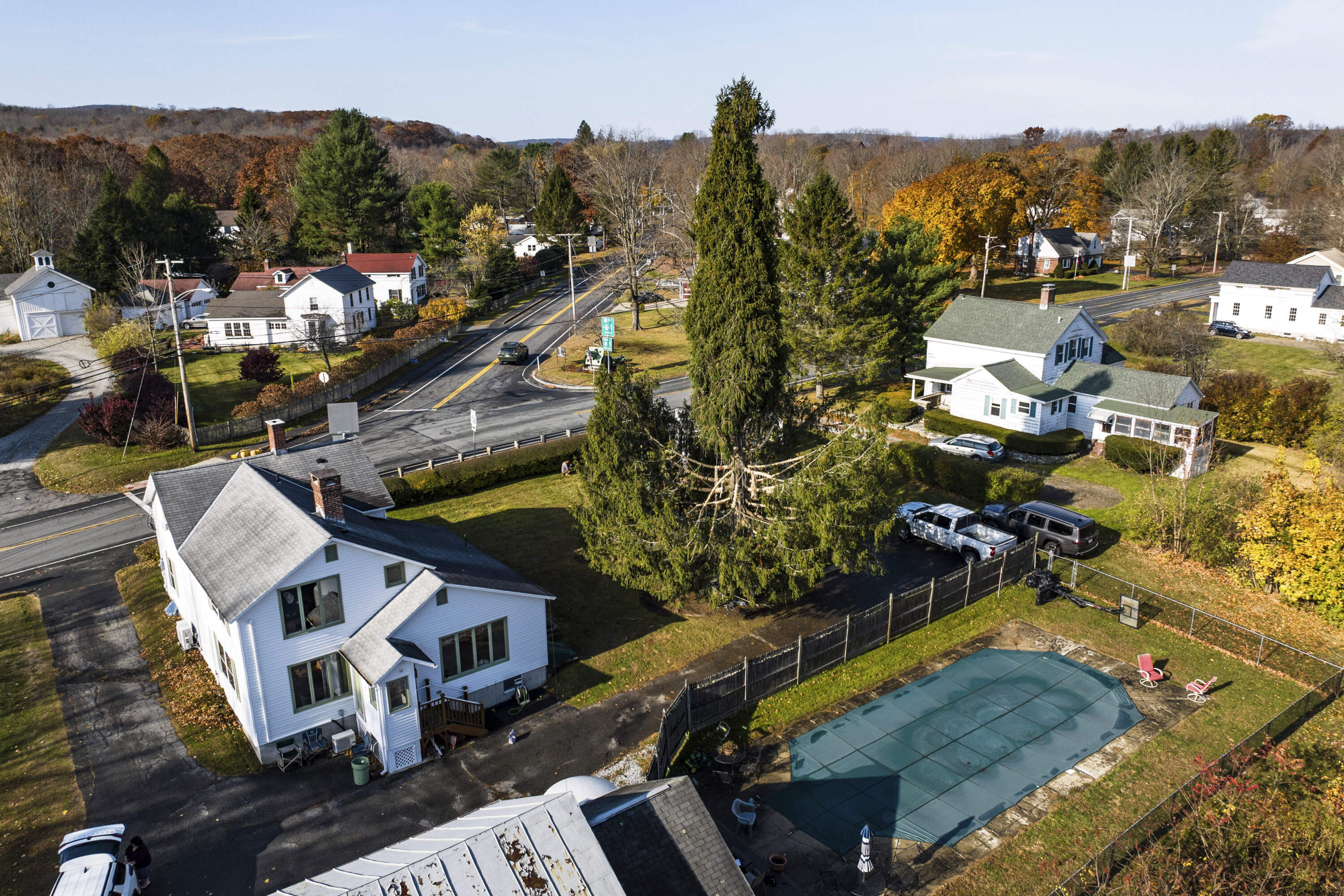 In this image take with a drone, a Norway spruce, this year’s Rockefeller Center Christmas tree, is prepared for harvest, Wednesday, Oct. 30, 2024, in West Stockbridge, Mass. (Rodrique Ngowi/AP)