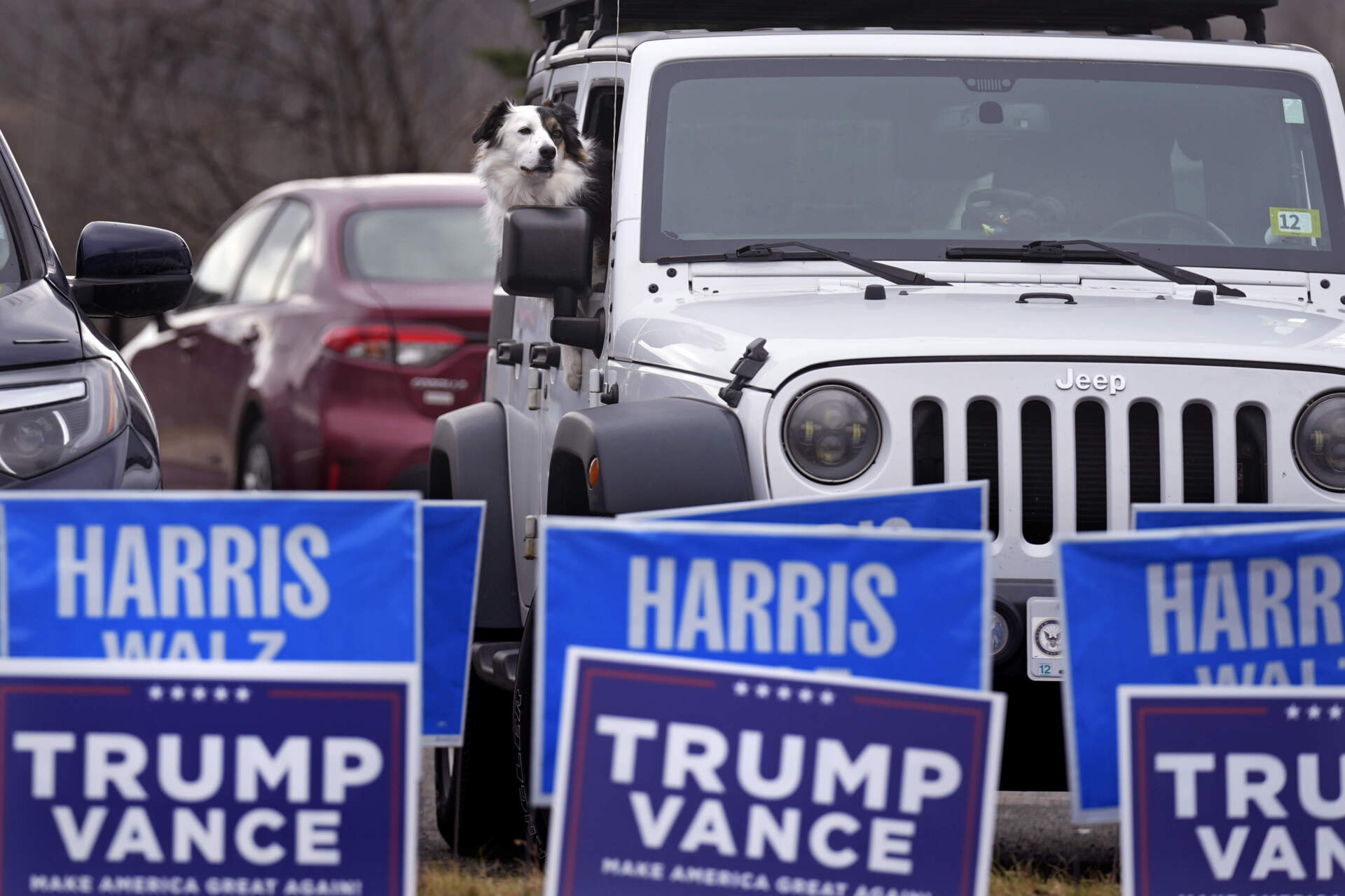 Megan, a border collie, waits for her owner Scot Lavoie to return from voting at VFW Post 2520 in Berlin, N.H. (Charles Krupa/AP)