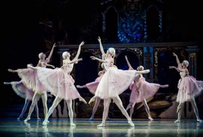 Grand Kyiv Ballet Tour stops in Boston, fundraising for war recovery efforts