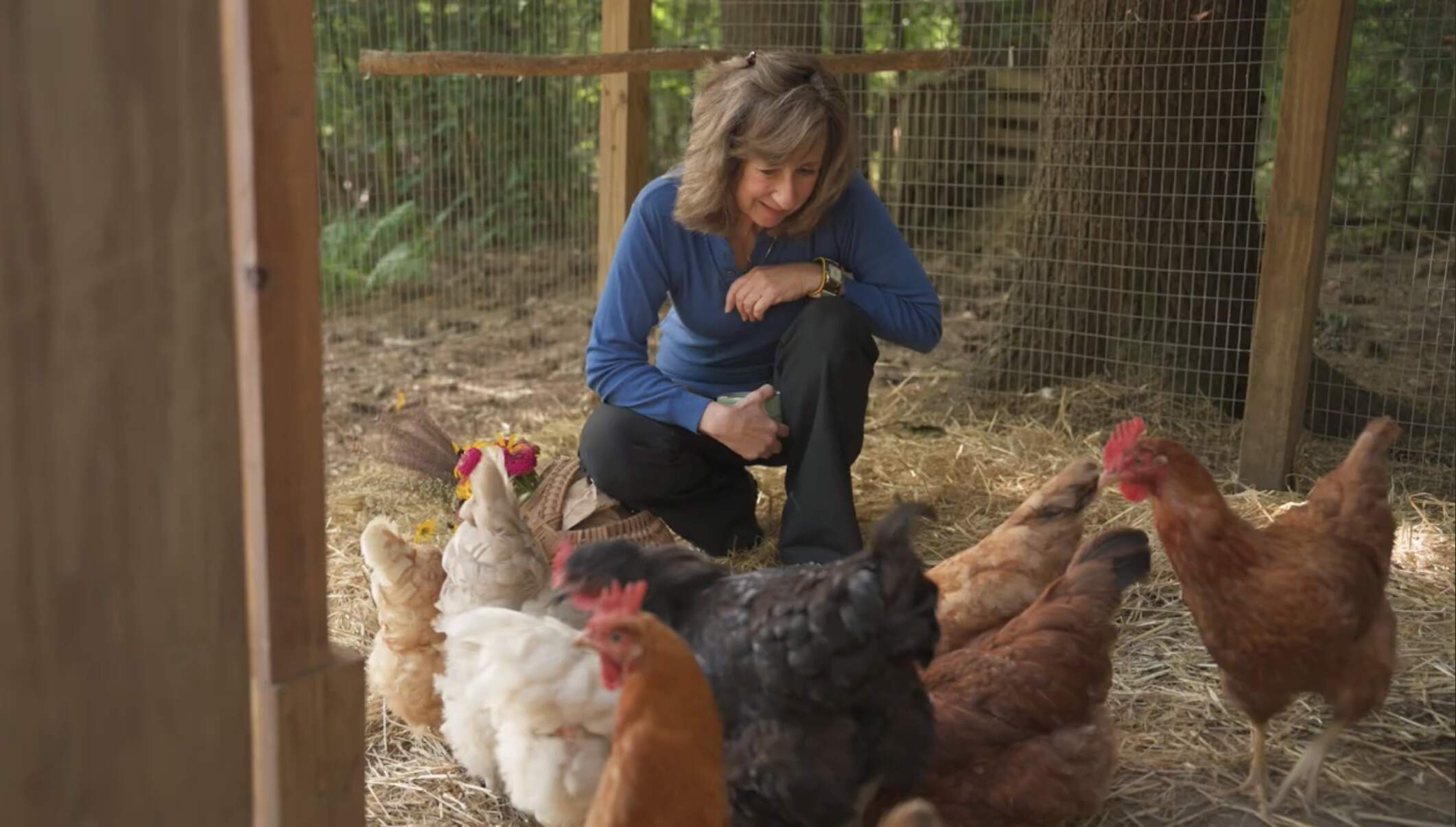 Sy Montgomery with a flock of chickens. (Courtesy of SALT Project)