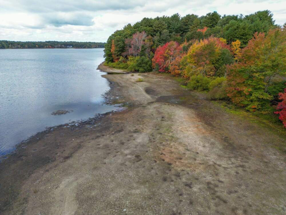 The water level in Silver Lake in Kingston is low on Oct. 17, 2024. (Courtesy Pine duBois/ Mass Rivers Alliance)