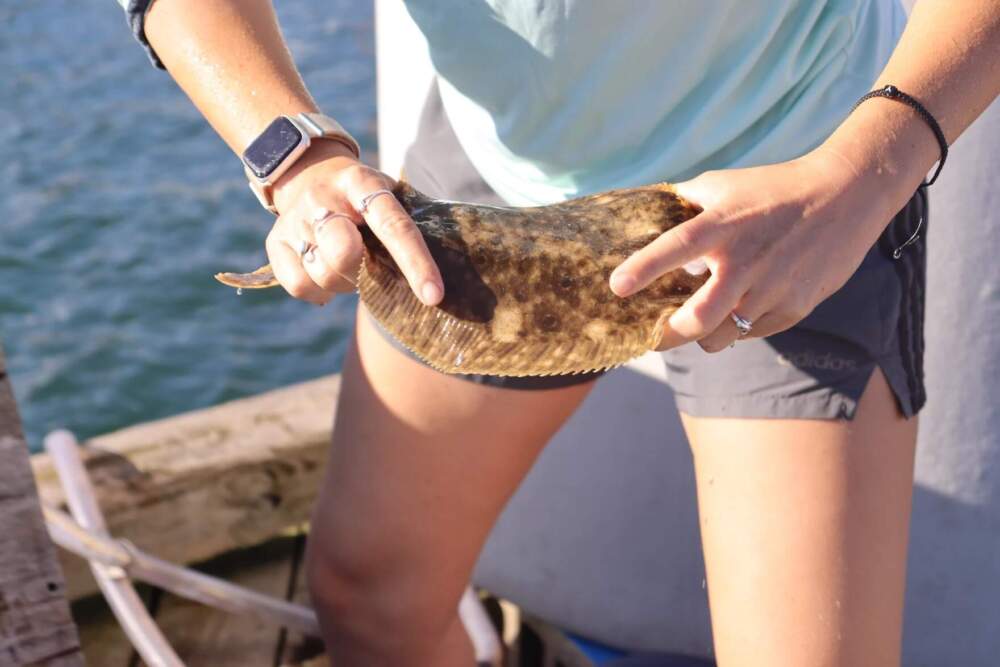 Marine biologist Sierra Jarriel handles a flounder before it's outfitted with a tag, placed in a cage, and dropped underwater. (Eve Zuckoff/CAI)