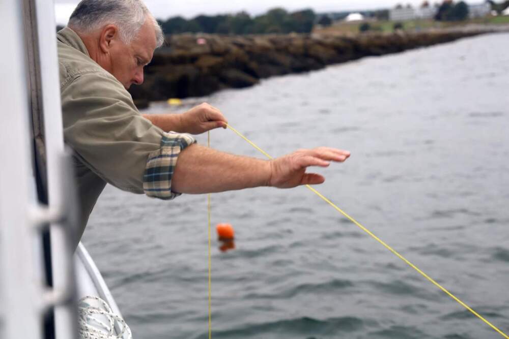 Buzz Scott, founder of the non-profit OceansWide, searches for an abandoned lobster trap just below the surface that divers have tagged for hauling up. (Esta Pratt-Kielley/Maine Public)
