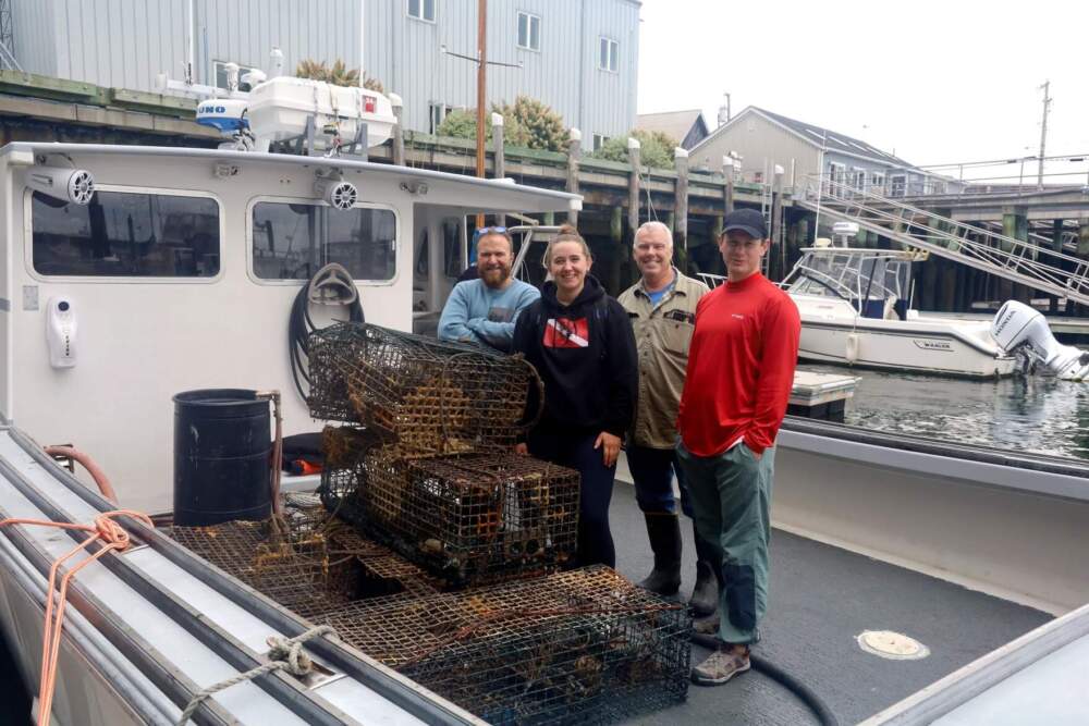 From left to right, Noah Oppenheim, Emily Drappeau, Buzz Scott and Zach Talmadge, with the derelict traps they've retrieved near the Rockland breakwater on Sept. 25, 2024. (Esta Pratt-Kielley/Maine Public)