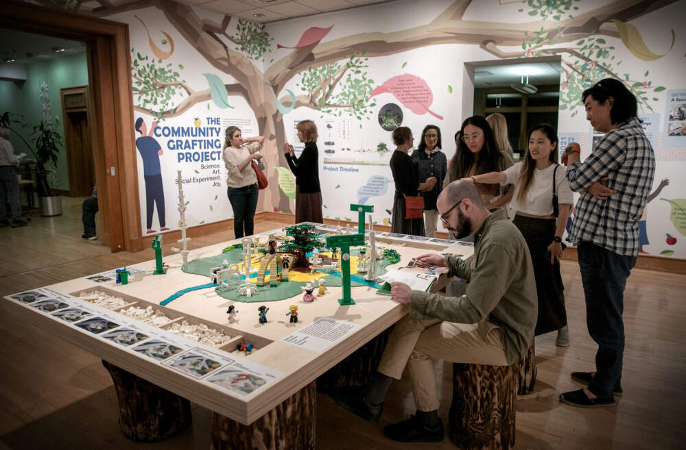 Yugon Kim, director of TSKP x ikd, talks with visitors to the The Community Grafting Project exhibit at Gallery 344 in Cambridge. (Robin Lubbock/WBUR)
