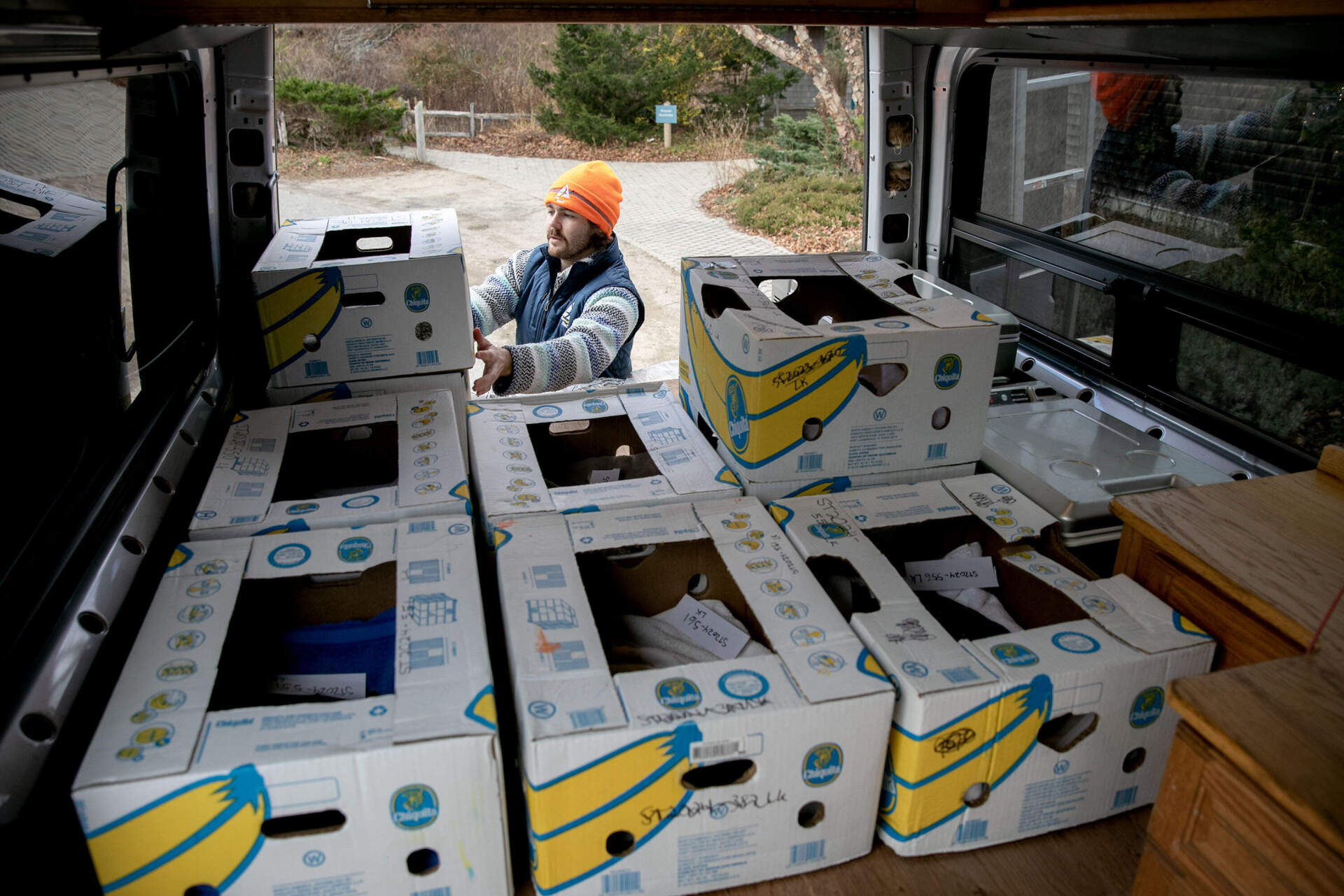 Mass Audubon Volunteer Coordinator Ben Chester loads turtles in banana boxes into a van, at the Wellfleet Bay Wildlife Sanctuary. (Robin Lubbock/WBUR)