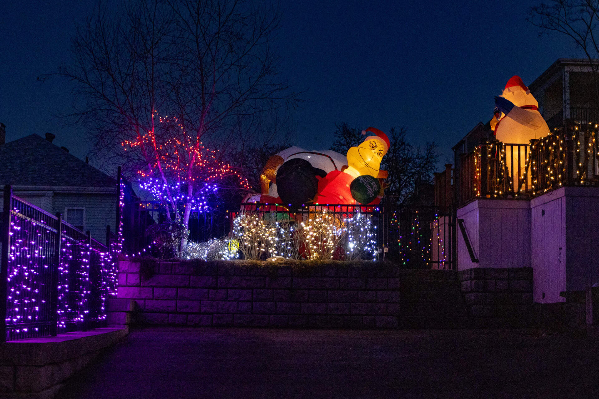 A giant blow up Grinch sits in the rear of the driveway of 53 Walnut Street in Somerville. (Jesse Costa/WBUR)