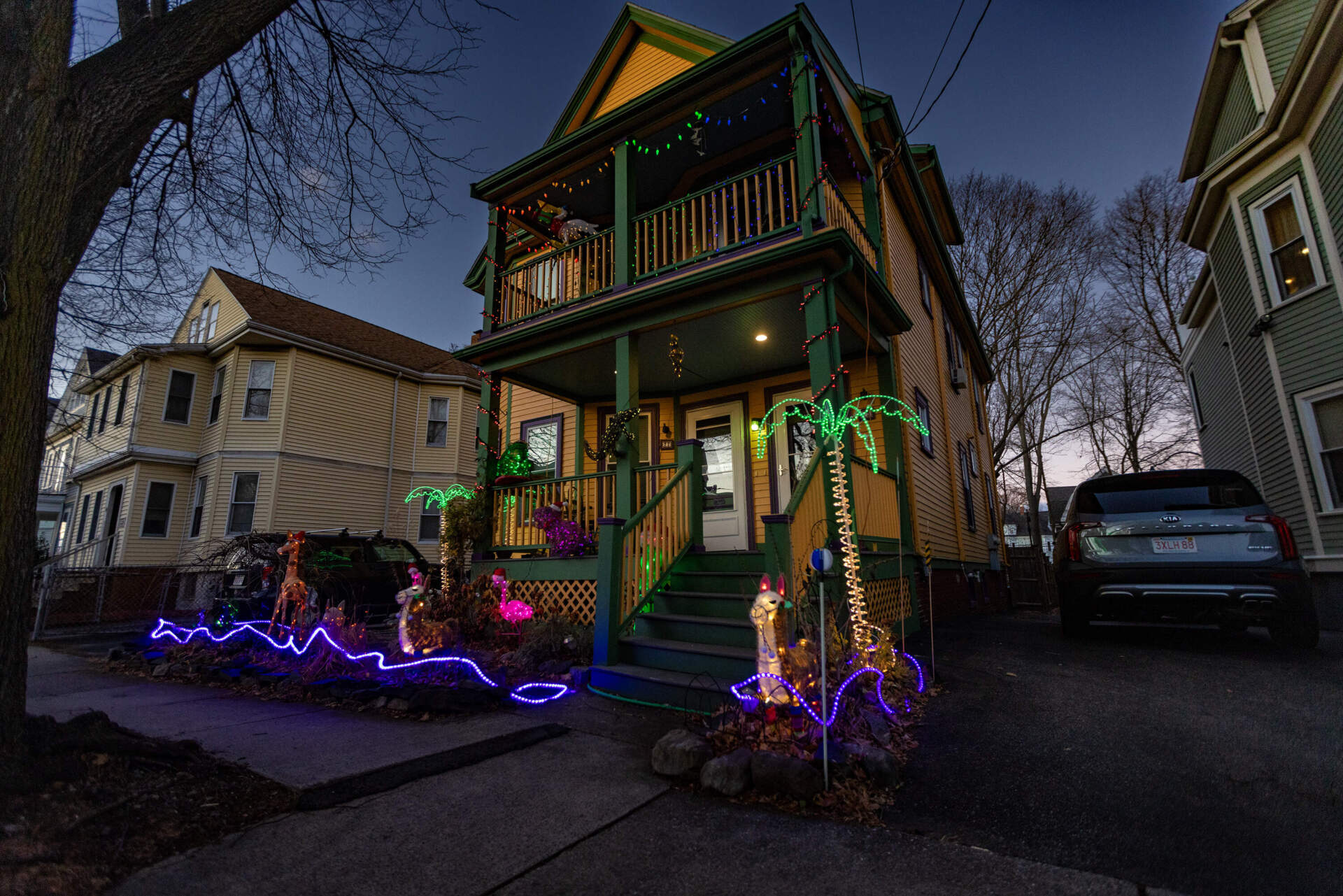 This display at 75 Lexington Street has palm trees, llamas and a flamingo. (Jesse Costa/WBUR)