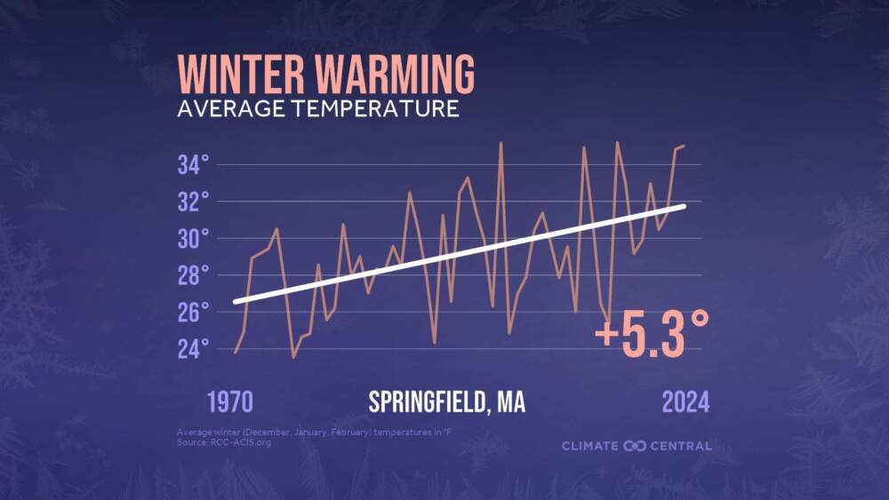 Average winter temperatures in Springfield, Mass. 1970-2024. Courtesy Climate Central