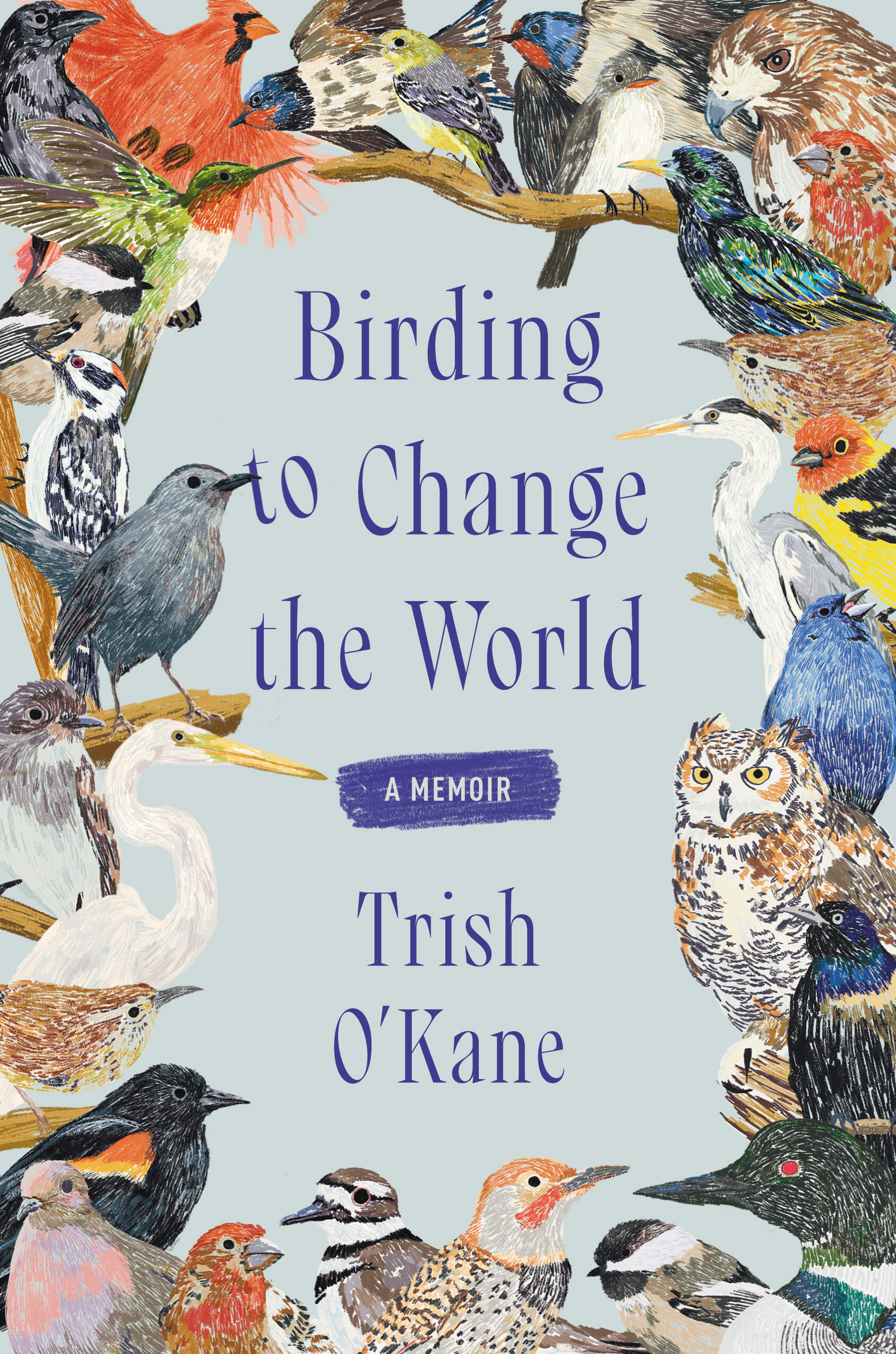 The cover of "Birding to Change the World." (Courtesy of Ecco)