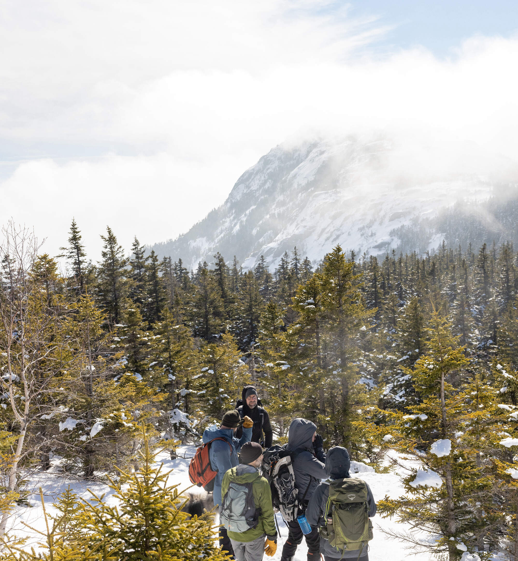 A group hikes Mt. Chocorua in New Hampshire with Guineafowl Adventure Company. (David Fatula/Guineafowl Adventure Co.)
