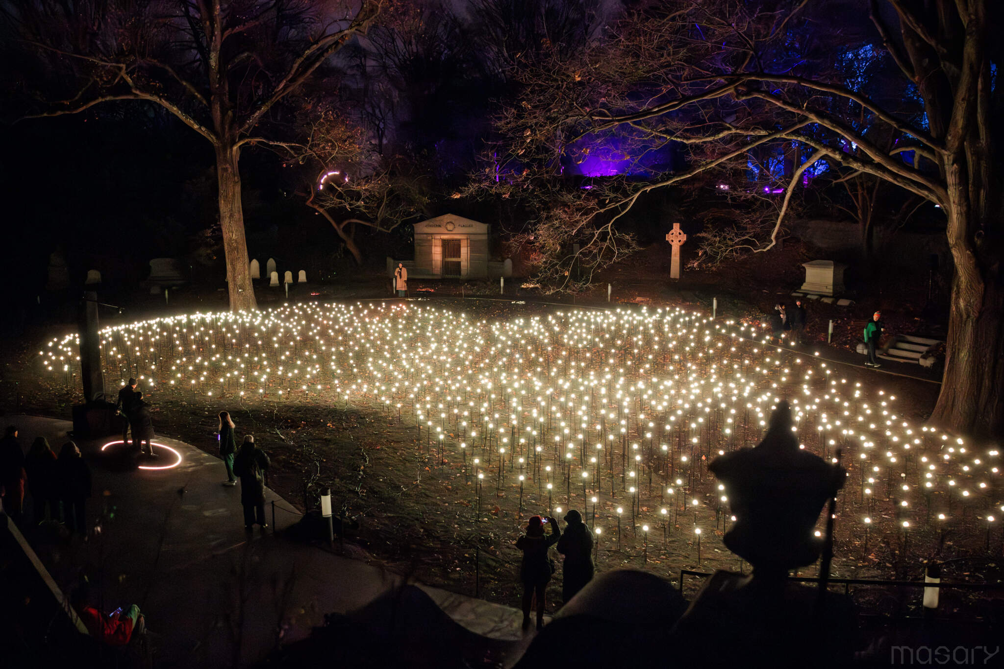 "Stillness" in Mount Auburn Cemetery's Hazel Dell. (Courtesy Aram Boghosian)
