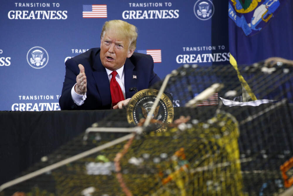 President Donald Trump attends a roundtable discussion with commercial fishermen at Bangor International Airport in Bangor, Maine, June 5, 2020. (Patrick Semansky/AP)