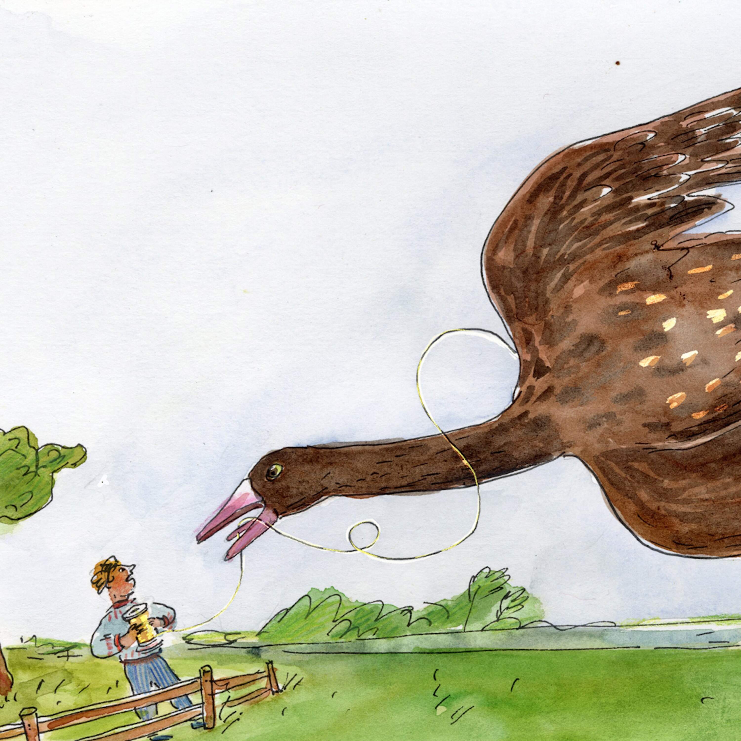 The Wild Goose Chase 
