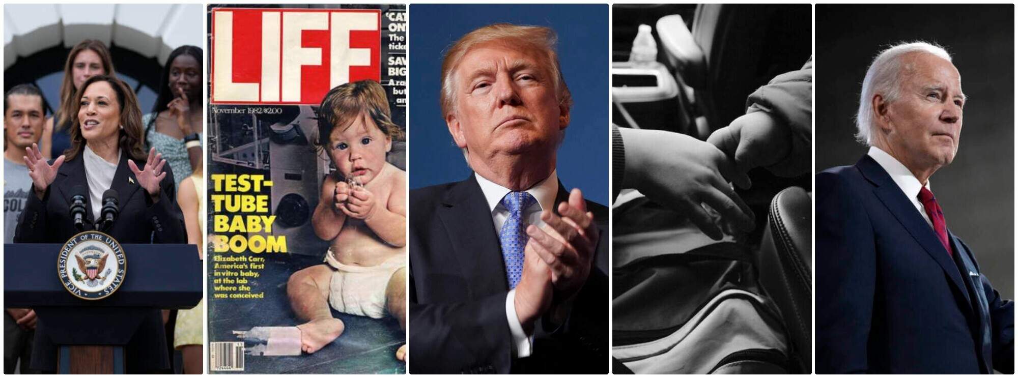 Cognoscenti's best stories of 2024