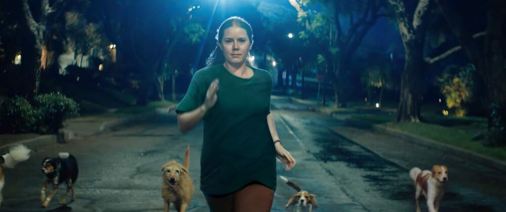 Amy Adams in "Nightbitch." (Courtesy Searchlight Pictures)