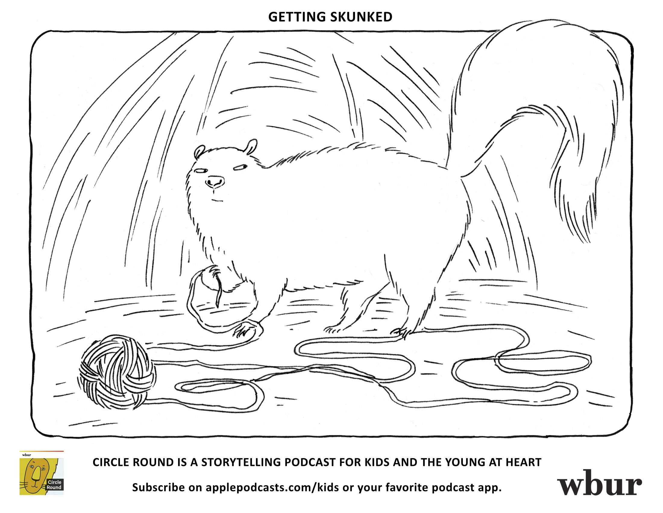 A skunk with a ball of string. (Sabina Hahn for WBUR)