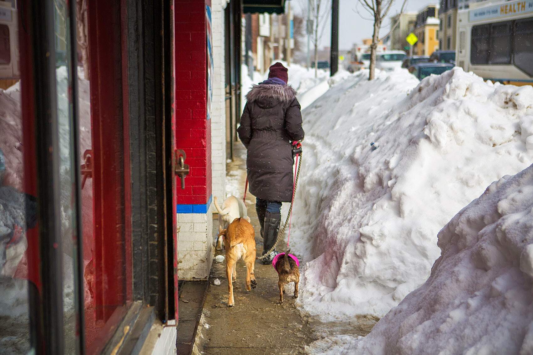 Share your most memorable moments — and pictures — from 2015's 'Snowmageddon'