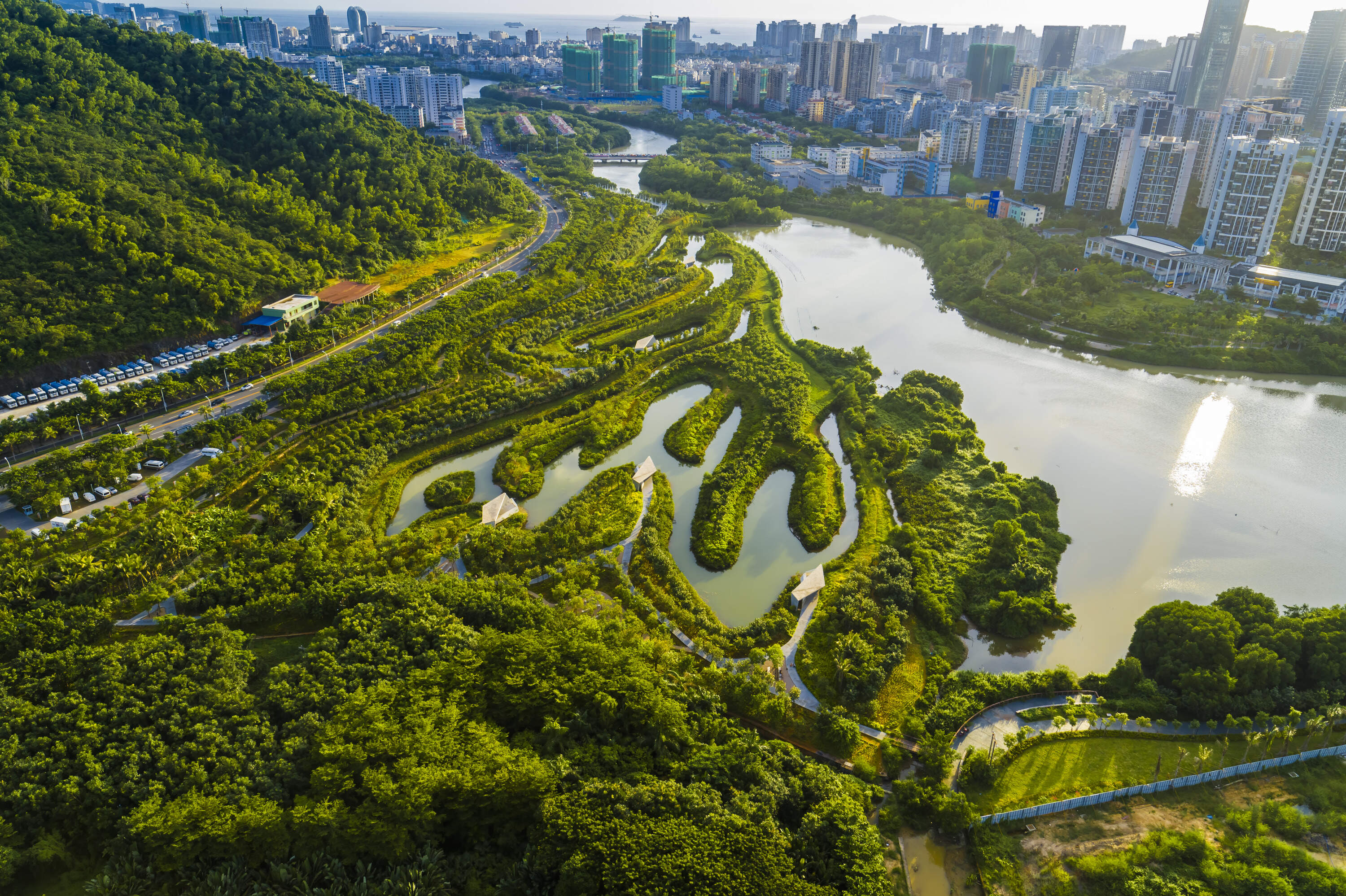 A lush mangrove park in sanya, China, with winding pathways and water features.