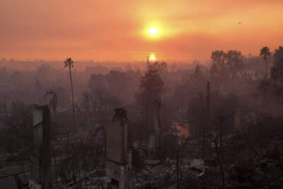 The land of my childhood is on fire