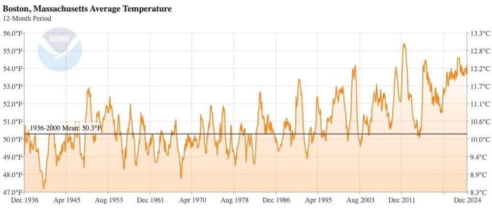 Boston average temperatures 1936-2024. (Courtesy NOAA)