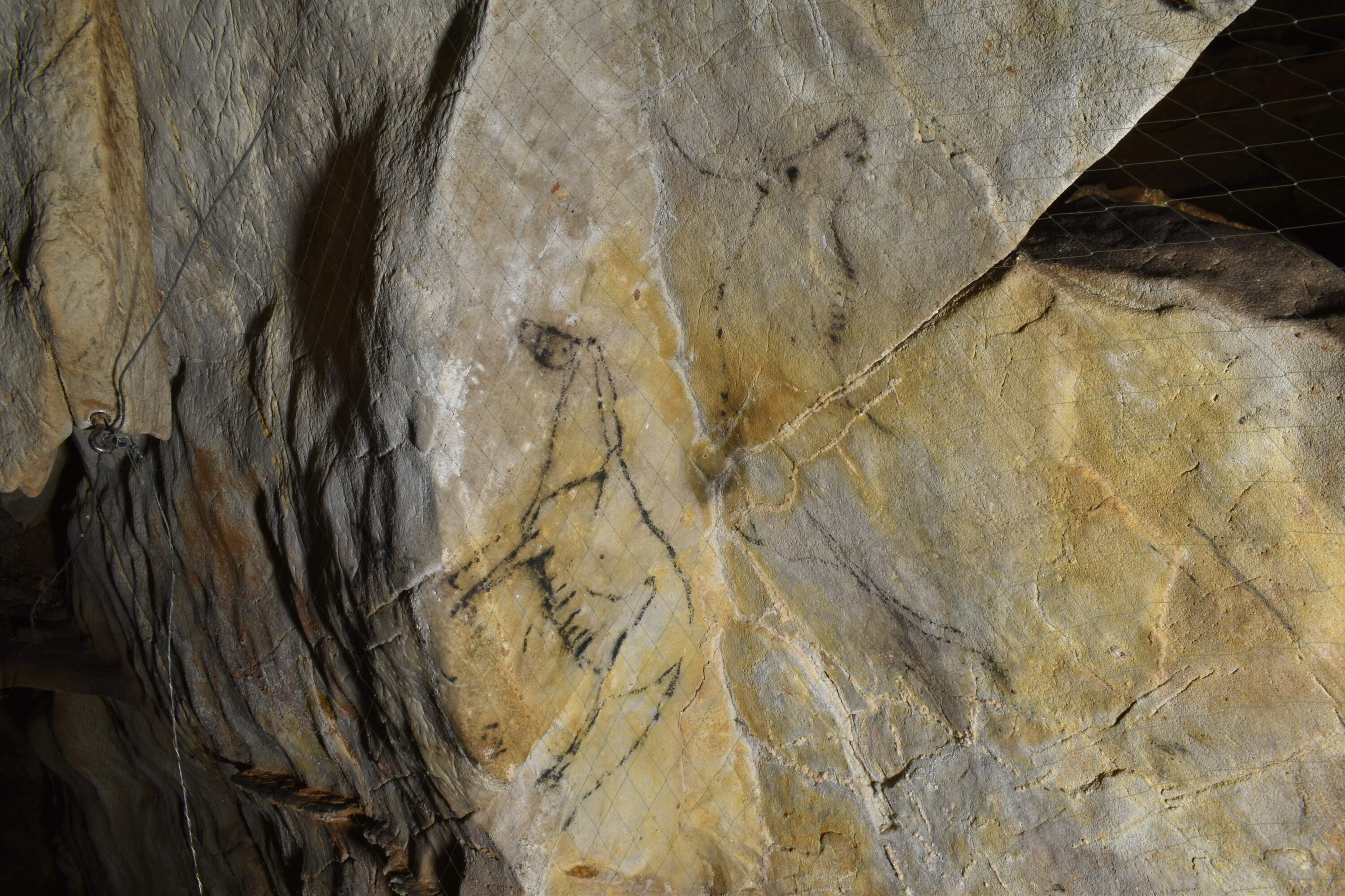 Cave art dates back 14,000 years. (Courtesy of Izzy Wisher/Gobierno de Cantabria)
