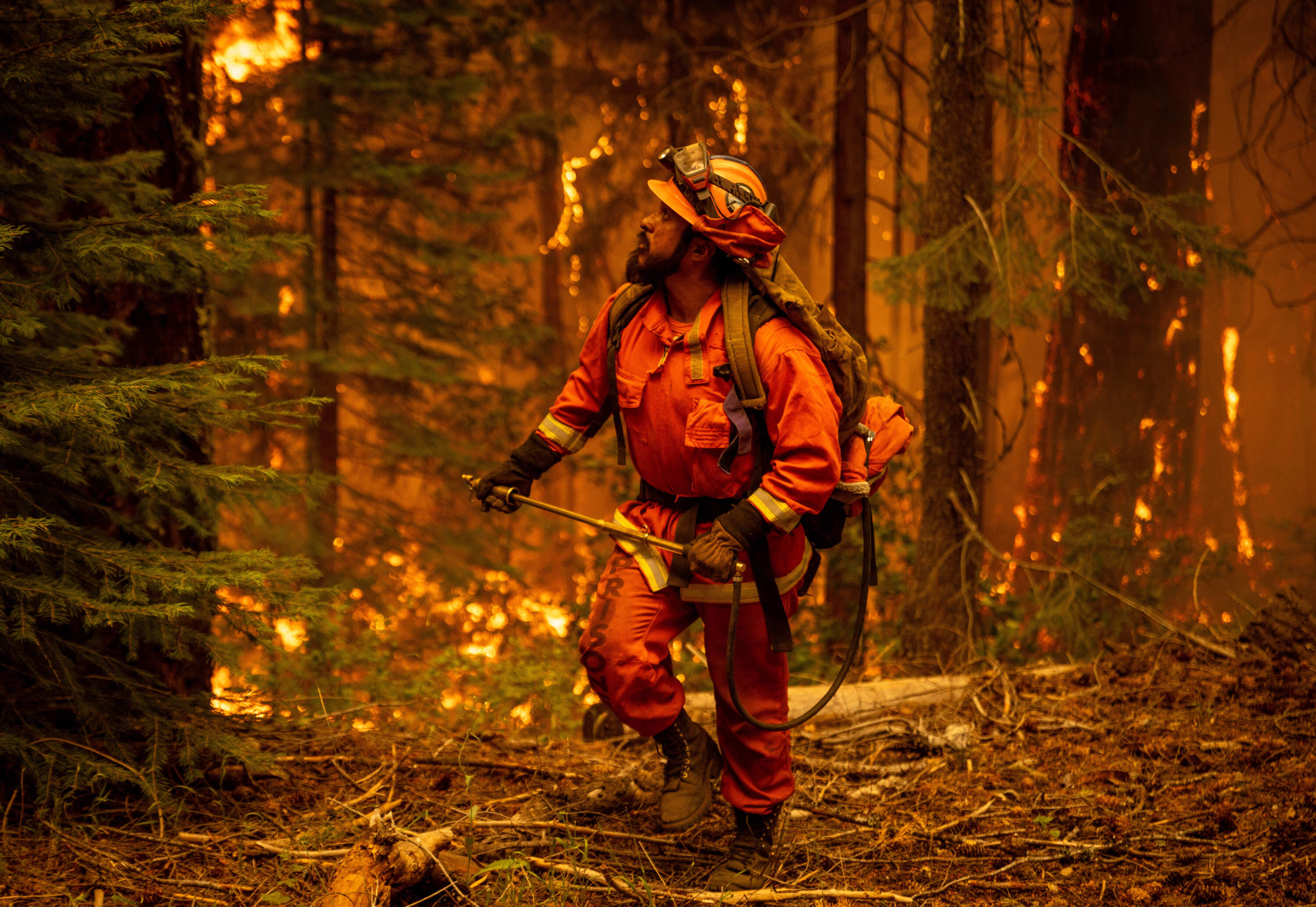 A file image of an incarcerated firefighter battling the Park Fire as it burns on August 7, 2024, in Mill Creek, California. (Ethan Swope/Getty Images)