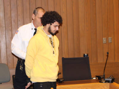 Serial rapist sentenced to 22 years in prison for attacks in West Springfield