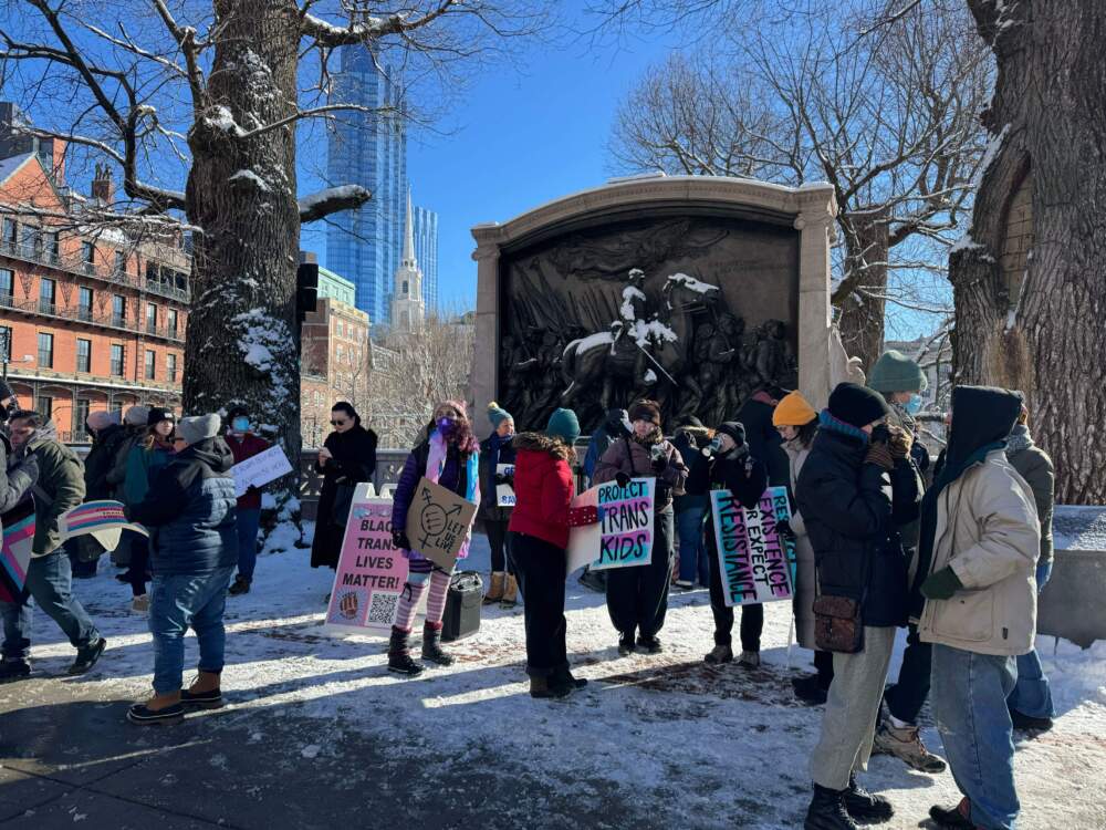 Trans rights advocates demonstrate across the street from the Massachusetts State House in Boston on Monday during President Trump's inauguration. (Walter Wuthmann/WBUR)