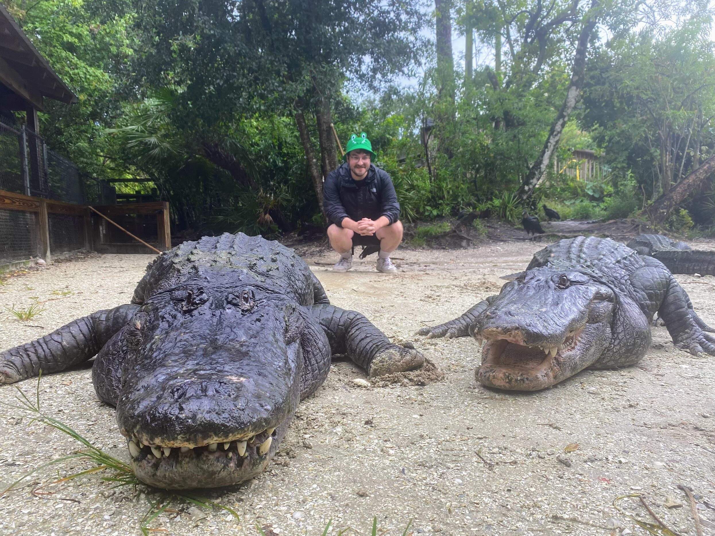 Seth Kaplan poses with two alligators at Gatorland theme park in Orlando, Florida. (Courtesy of Seth Kaplan)