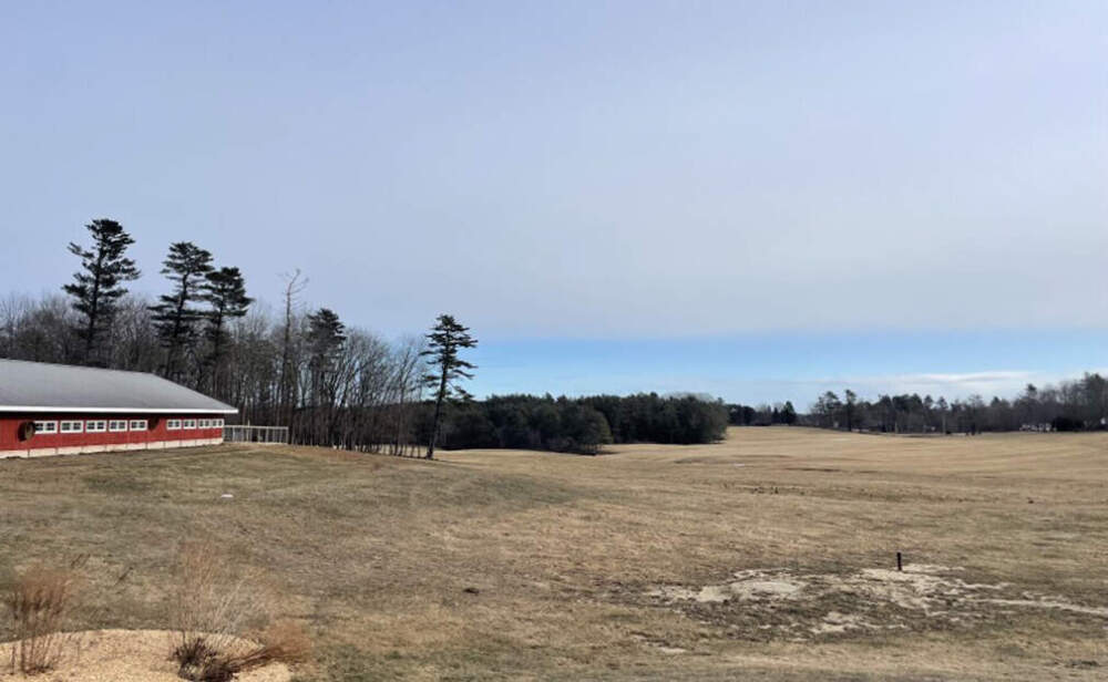 Smiling Hill Farm, Jan. 9, 2025. The farm’s longstanding cross-country ski center has permanently closed due to lack of snow. (Molly Enking/Maine Public)