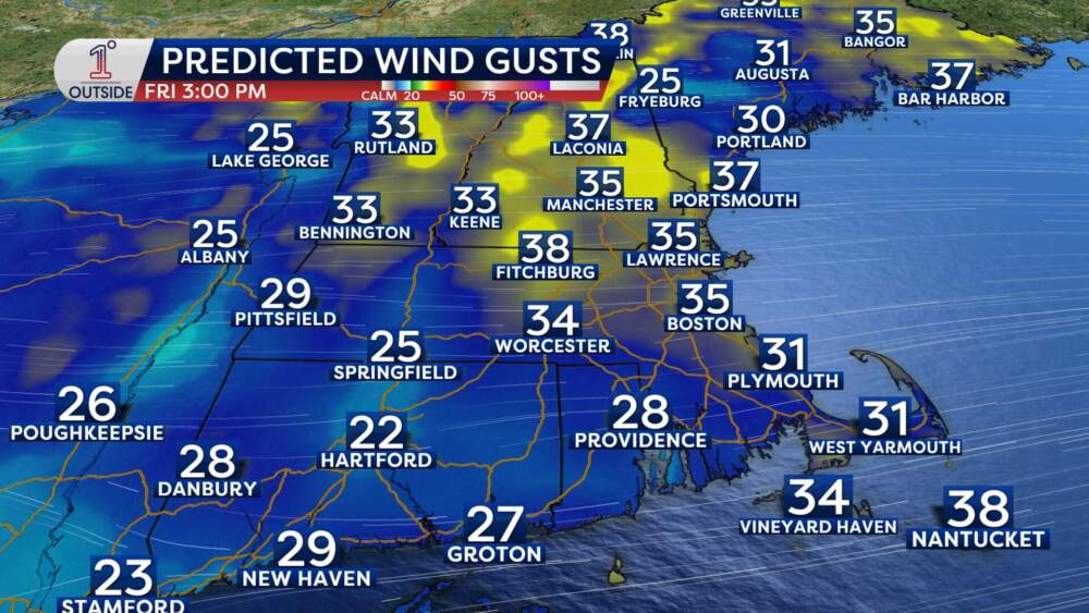 Predicted wind gusts for Friday, January 3, 2025. (Courtesy Danielle Noyes/1°Outside)