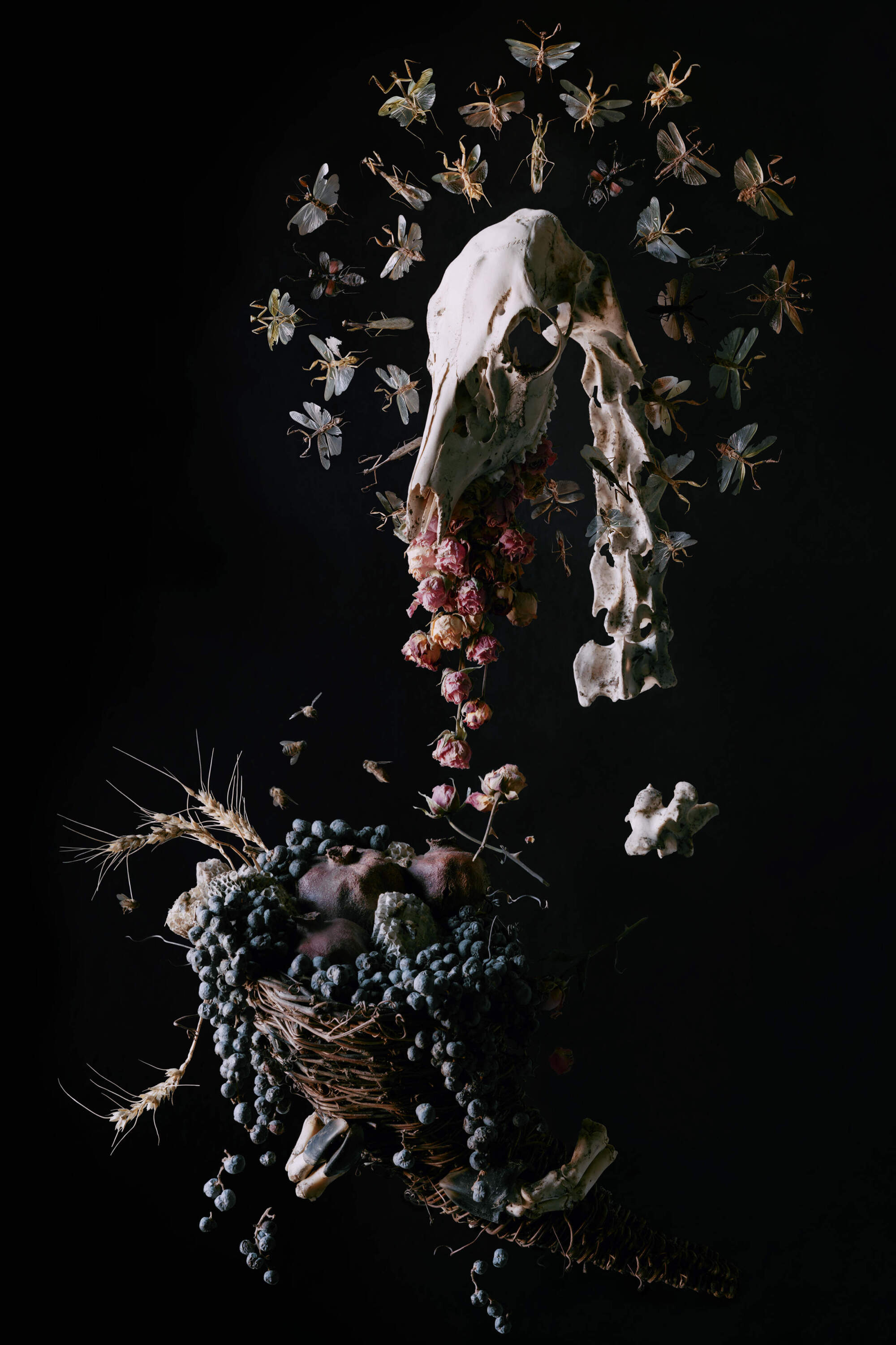 Tara Sellios, "Abundantia" from the series "Ask Now the Beasts," 2023. (Courtesy the artist)