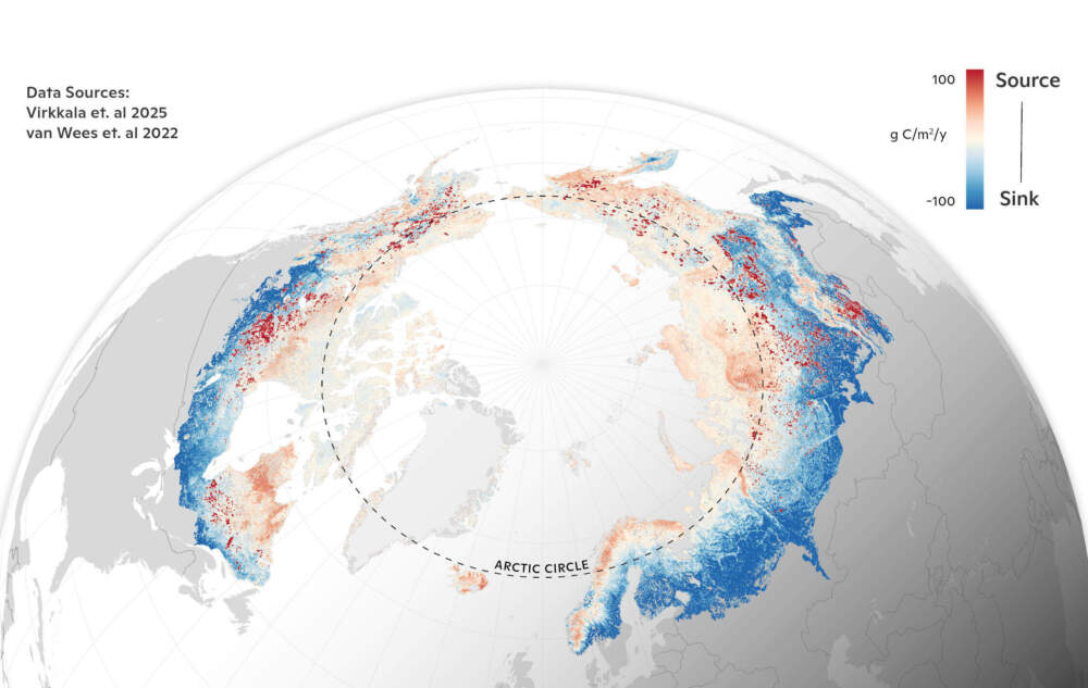 Average terrestrial CO2 balance from 2001-2020. (Courtesy Greg Fiske/Woodwell Climate Research Center)