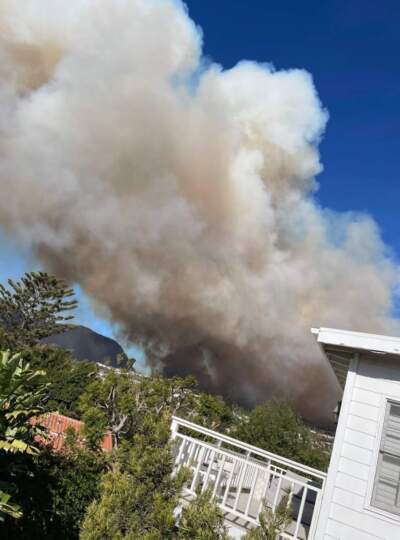 Wildfire smoke, as seen from the back of the house on Las Casas Ave., on January 7, 2025. (Courtesy Andrea Meyer)