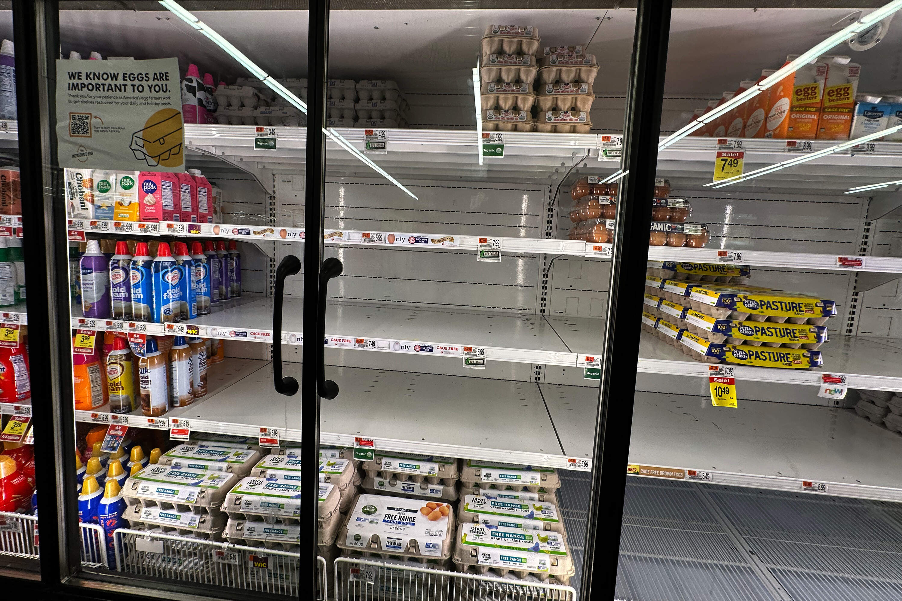 Empty egg shelves at the Star Market in Somerville on Jan. 27, 2025. (Jesse Costa/WBUR)