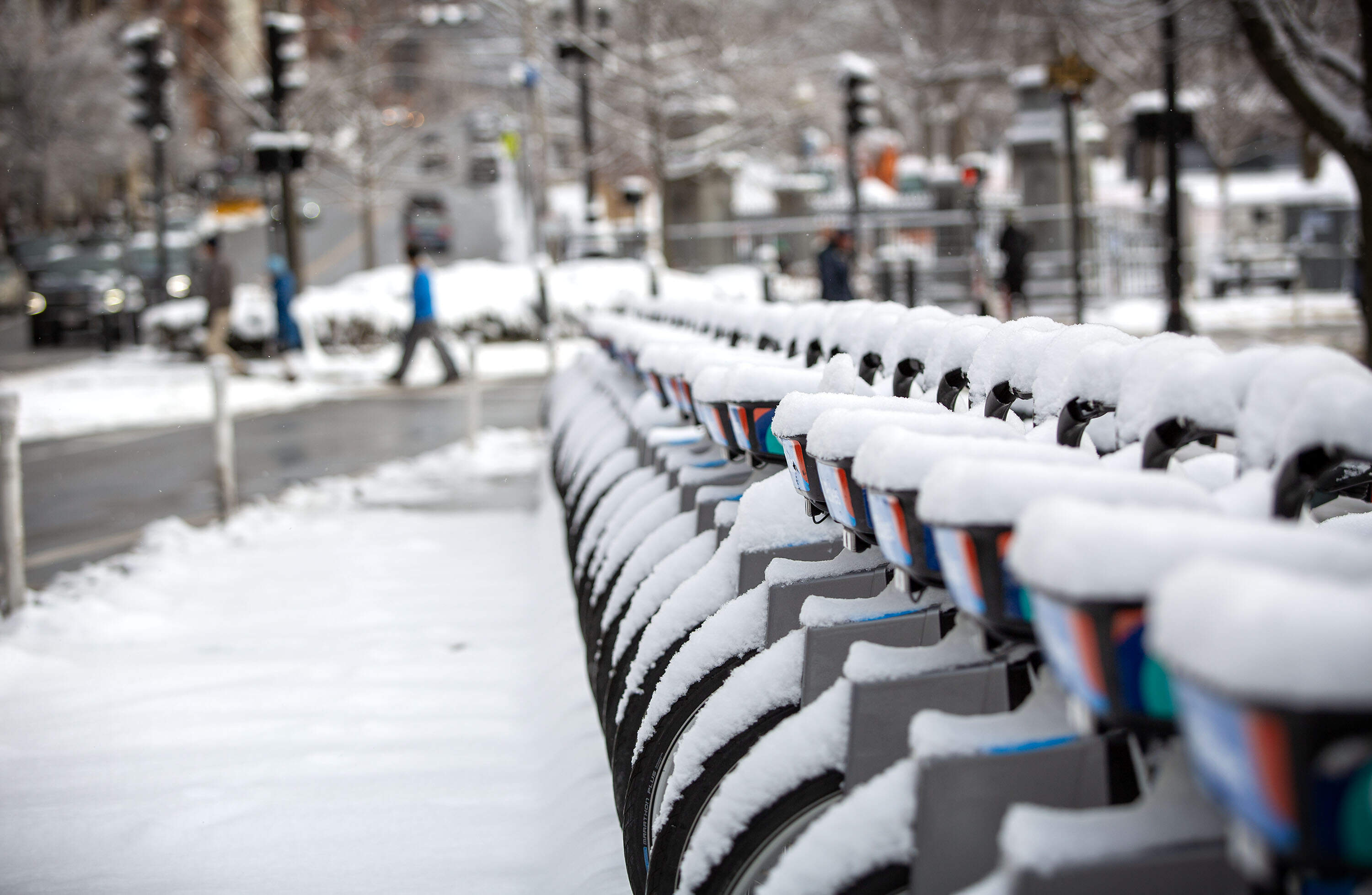 BlueBikes await riders on Beacon Street after several inches of snow fell on the Boston overnight. (Robin Lubbock/WBUR)