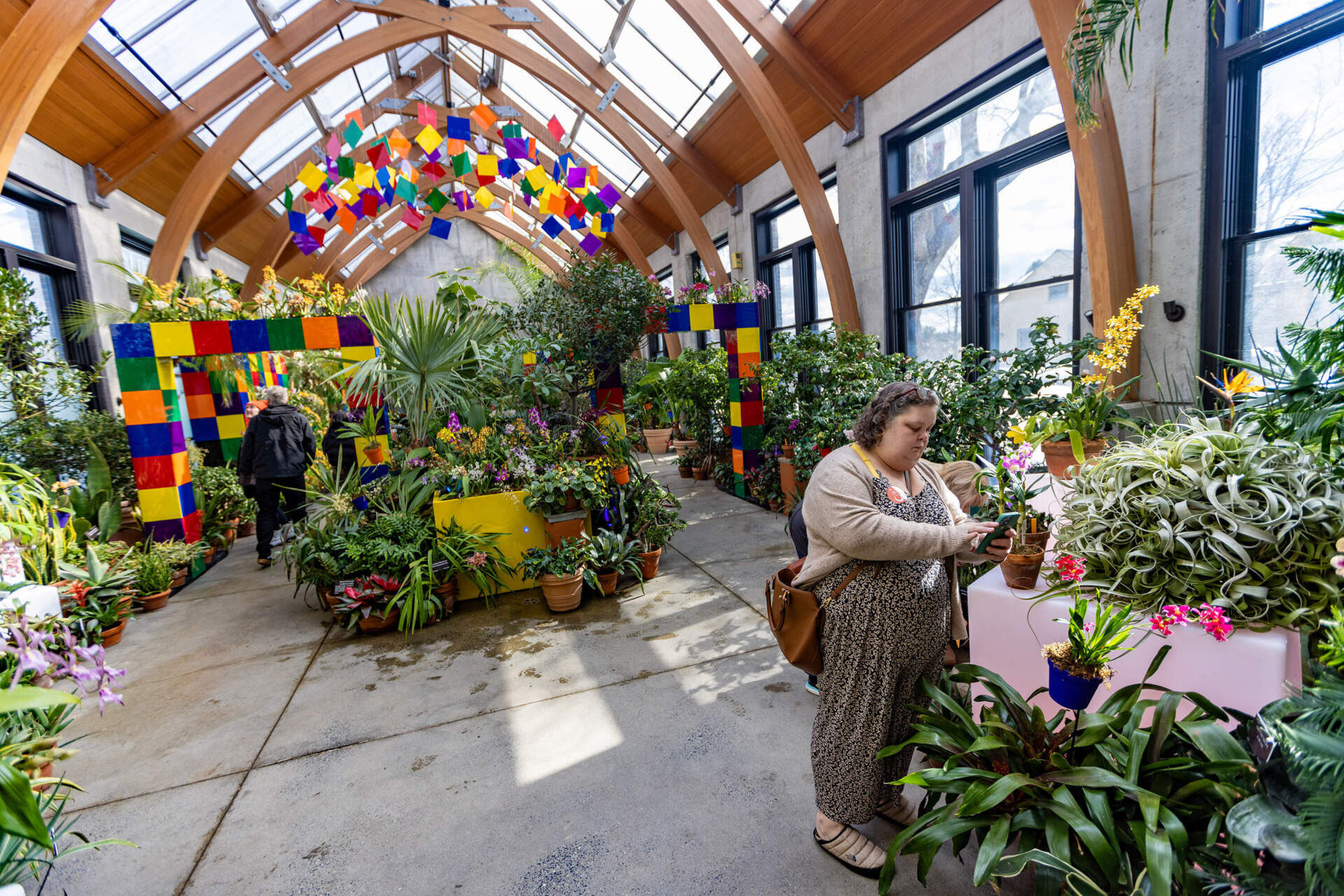Visitors to the New England Botanical Garden in Boylston revel in the splendor of orchids on display at the &quot;Pixels + Petals&quot; exhibit. (Jesse Costa/WBUR)