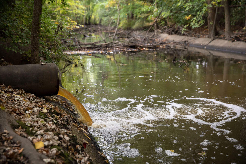 A stormwater pipe discharges into Alewife Brook, a tributary of the Mystic River. The Mystic River Watershed Association is one of the Massachusetts nonprofits caught in the federal funding freeze. (Robin Lubbuck/WBUR)