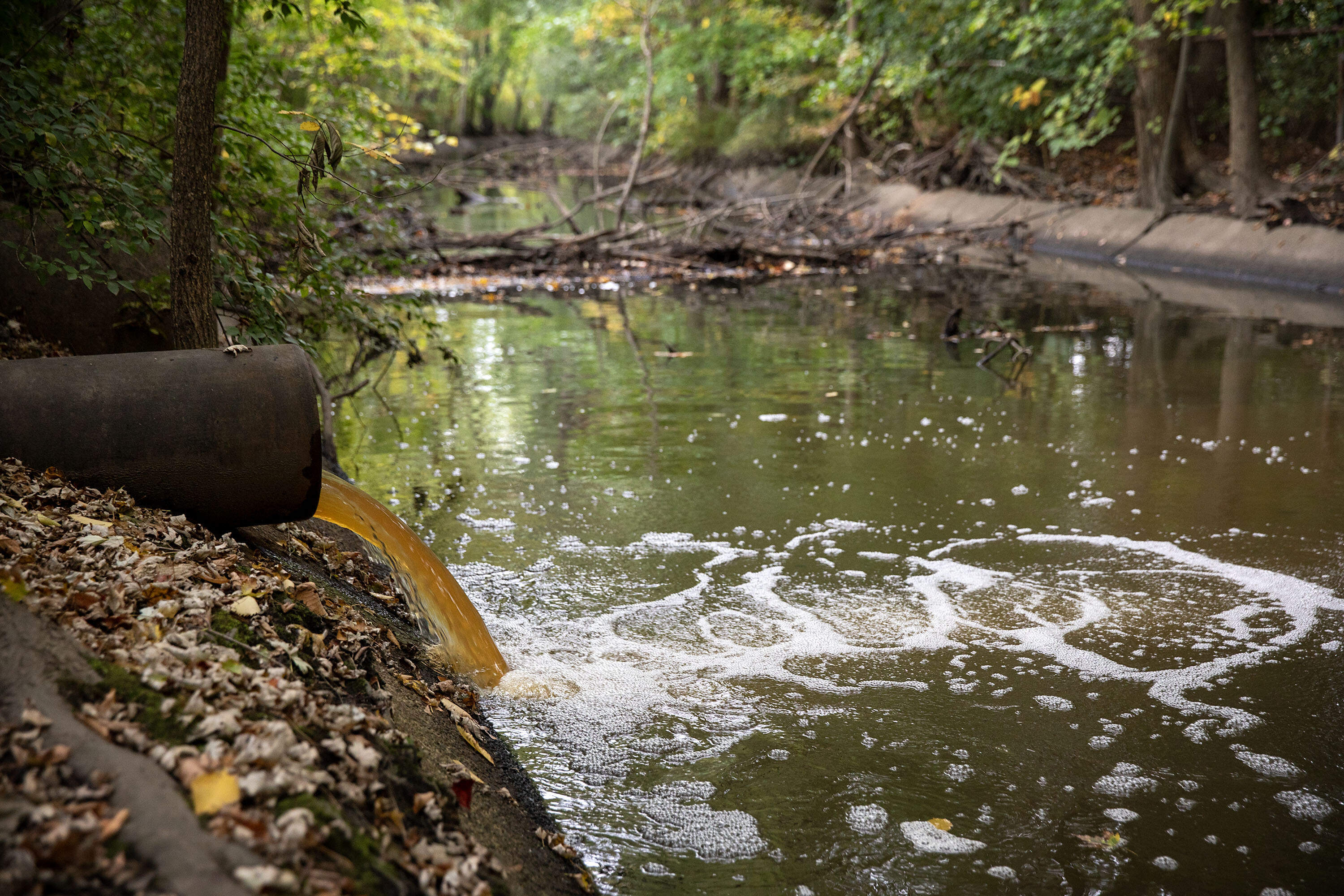 A stormwater pipe discharges into Alewife Brook, a tributary of the Mystic River. The Mystic River Watershed Association is one of the Massachusetts nonprofits caught in the federal funding freeze. (Robin Lubbuck/WBUR)