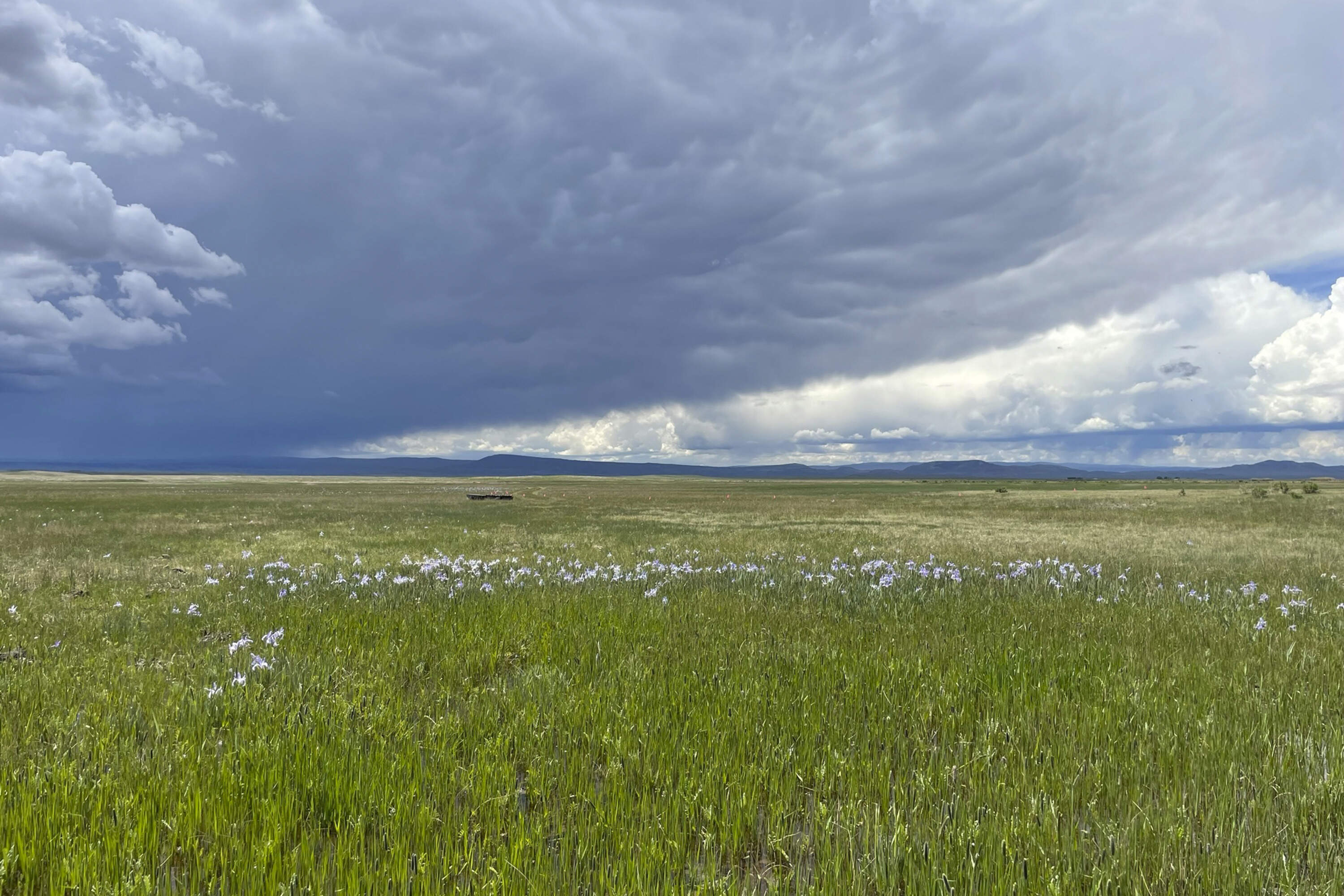 This undated photo shows the Wyoming Toad Conservation Area. (Lauren Connell/U.S. Fish and Wildlife Service via AP)