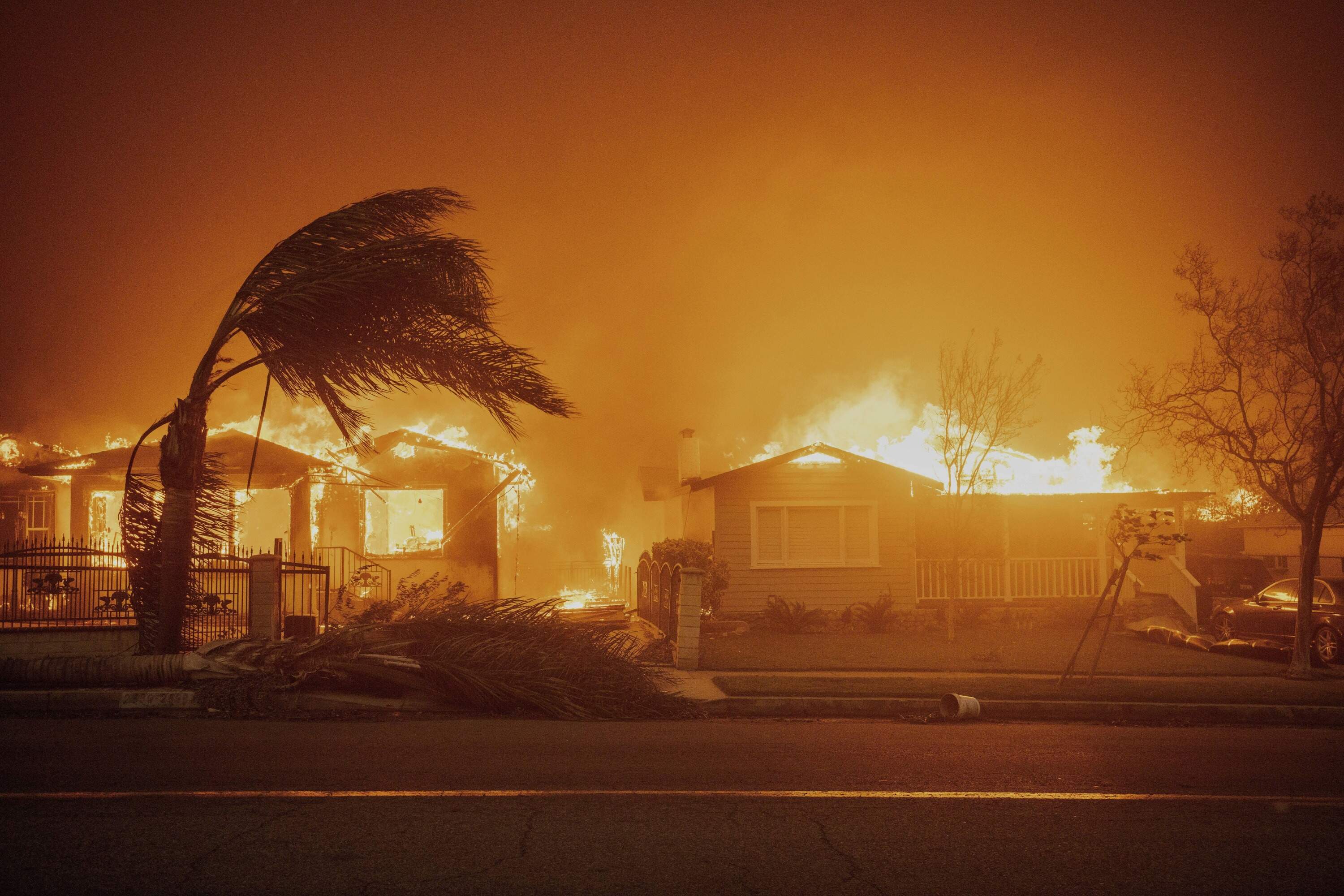 Trees sway in high winds as the Eaton Fire burns structures Jan. 8, 2025, in Altadena, California. (Ethan Swope/AP)