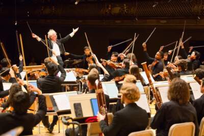 Talking symphony strings for the season of spring with Lloyd Schwartz