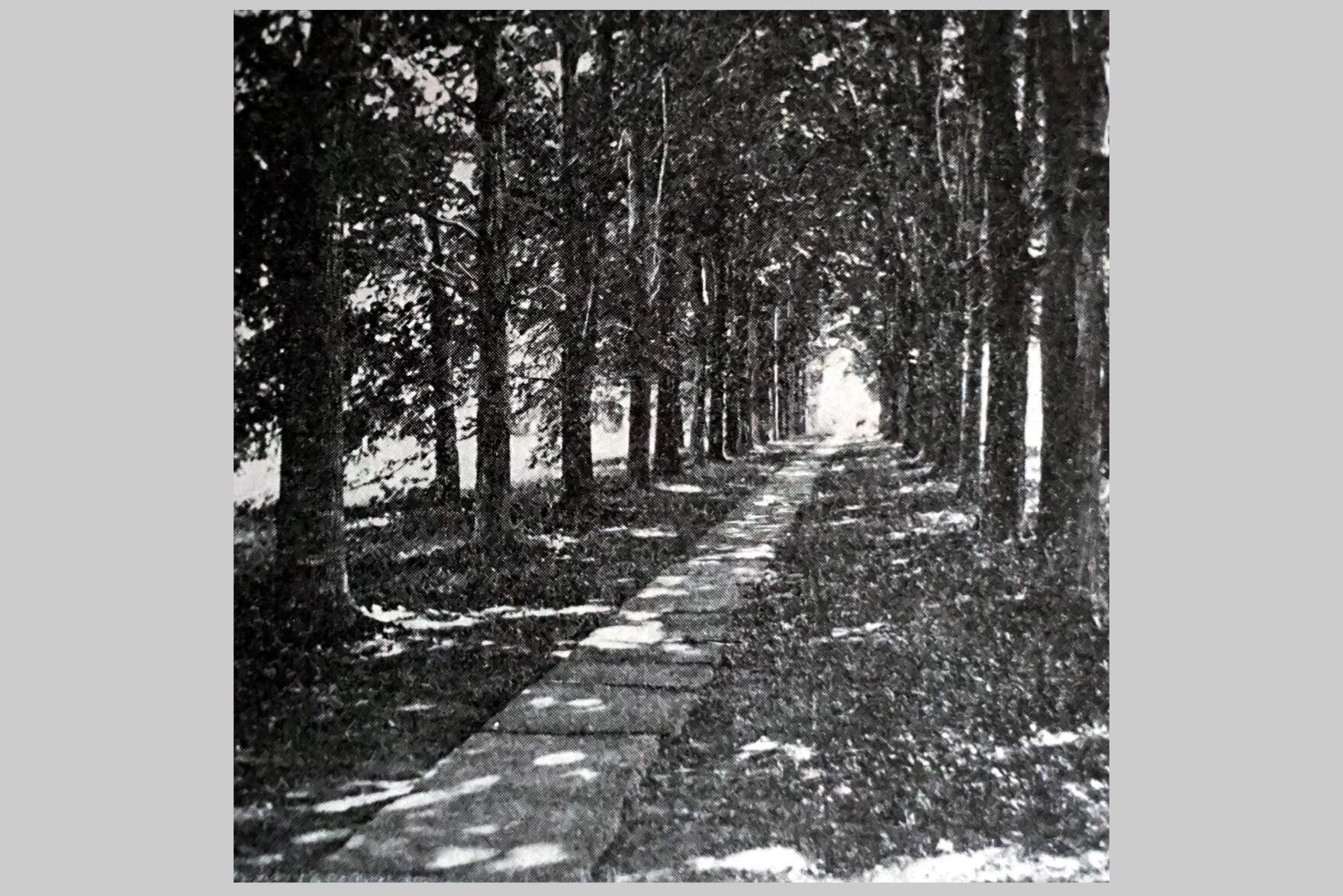 This 1870s photo shows the walkway leading away from the enslaver's mansion. “It was a walkway that was built by his enslaver, Philip Mortimer," Mills explained. "And it only led to the enslaver’s mansion. And Prince would walk up that walkway every day to get to Main Street to get to the enslaver’s rope-making facility.” (Courtesy of John Mills)